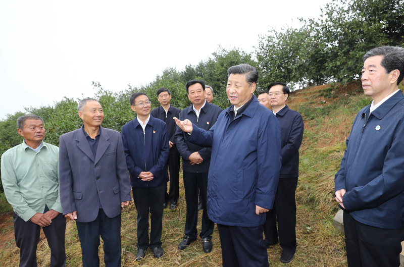 　　9月16日至18日，中共中央總書(shū)記、國(guó)家主席、中央軍委主席習(xí)近平在河南考察。這是17日上午，習(xí)近平來(lái)到信陽(yáng)市光山縣槐店鄉(xiāng)司馬光油茶園，同正在勞作的村民和管理人員交流。 新華社記者 鞠鵬 攝
