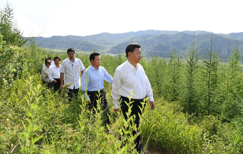 7月15日至16日，中共中央總書(shū)記、國(guó)家主席、中央軍委主席習(xí)近平在內(nèi)蒙古考察并指導(dǎo)開(kāi)展“不忘初心、牢記使命”主題教育。這是15日下午，習(xí)近平在赤峰市喀喇沁旗馬鞍山林場(chǎng)林區(qū)，沿著崎嶇的護(hù)林小道察看林木長(zhǎng)勢(shì)。